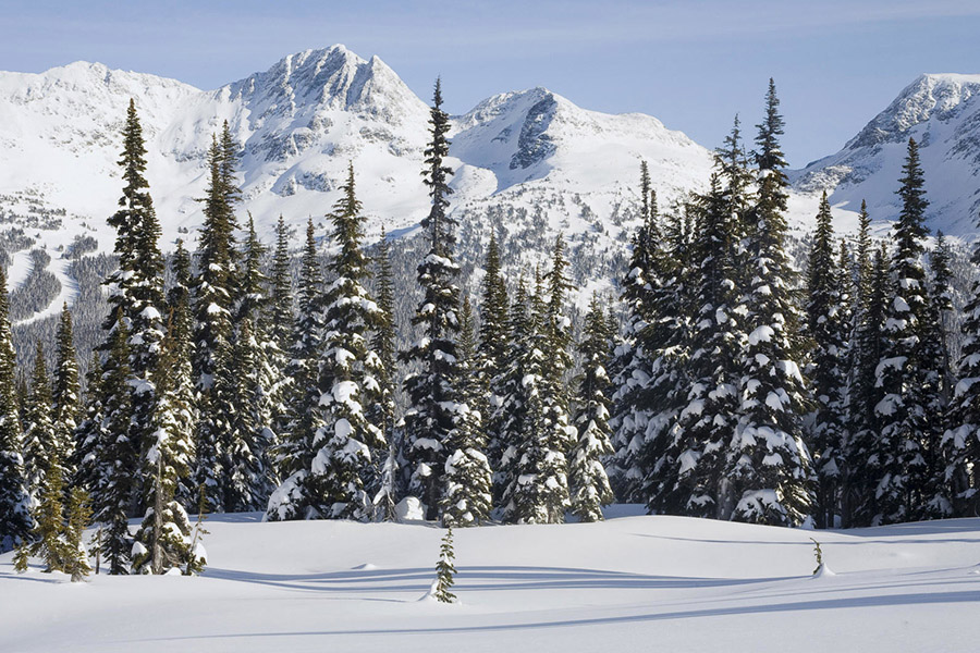 熱烈慶祝華之杰新網站上線